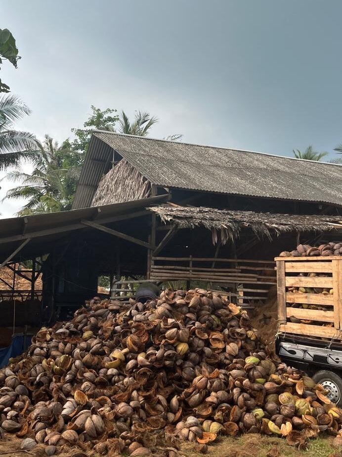 WhatsApp Image 2025-03-09 at 16.07.01_7de6af7e